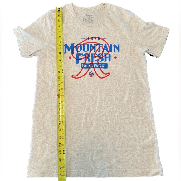 Rainier Beer x The Great PNW Mountain Fresh Graphic Tee - Heather Grey - M - Picture 3 of 6